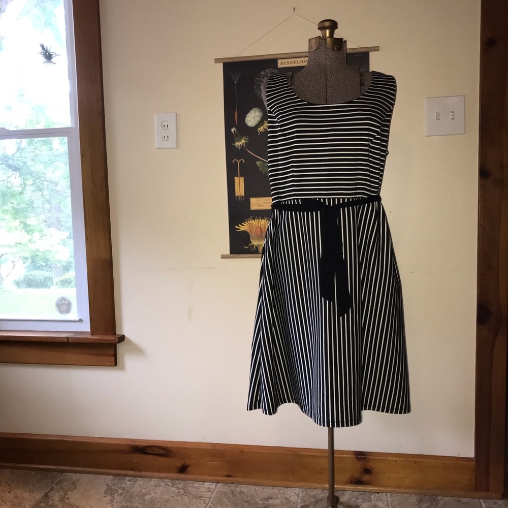Garden Party! Midi Black and White Striped Dress